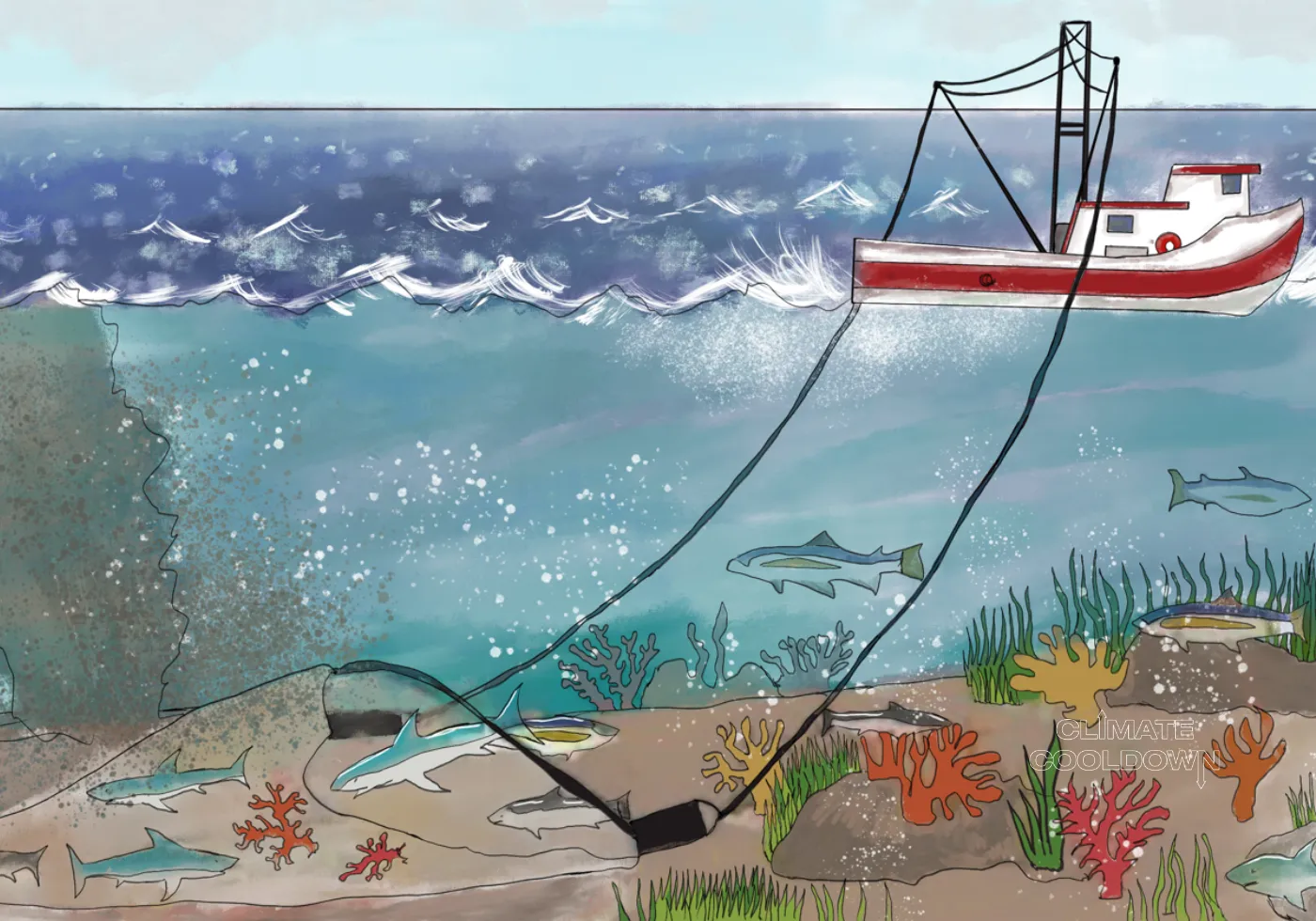 Illustrated heavy fishing net dragging across the seafloor, disrupting marine habitat