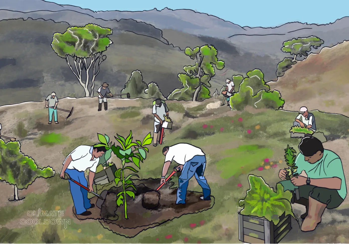 Illustrated hillside with newly planted saplings growing into a recovering young forest