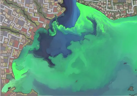 card_main__hazardous_algae_blooms.png